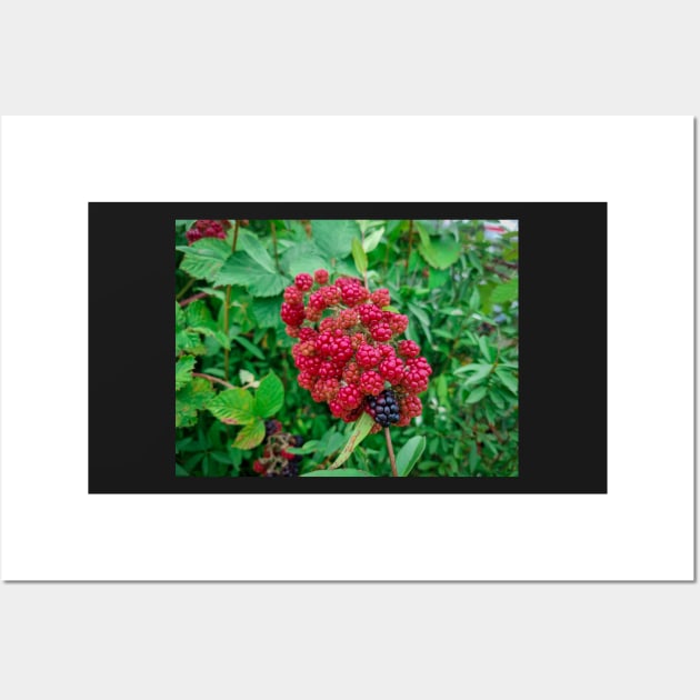 Wild Blackberries Wall Art by Anastasia-03